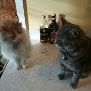 MEET ME IN ST. LOUIS